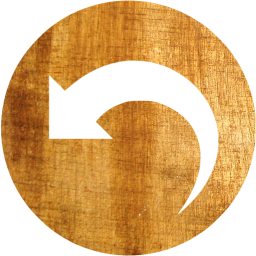 undo 5 icon