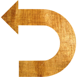undo icon