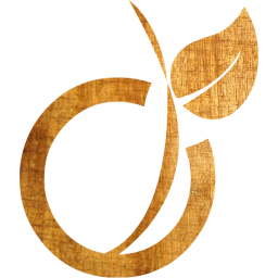 viadeo icon