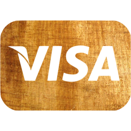 visa icon