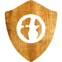 web shield icon