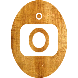 webcam 3 icon