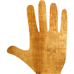 whole hand icon
