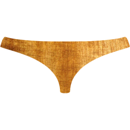 womens underwear icon