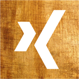 xing 2 icon