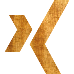 xing icon