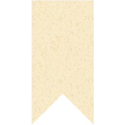 bookmark 5 icon