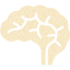 brain