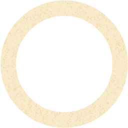 circle outline icon