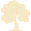 deciduous tree