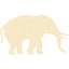 elephant 5