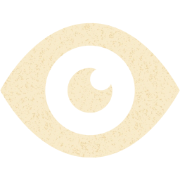 eye 2 icon