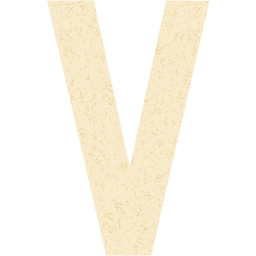 letter v icon