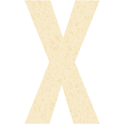 letter x icon