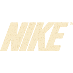 nike 2 icon