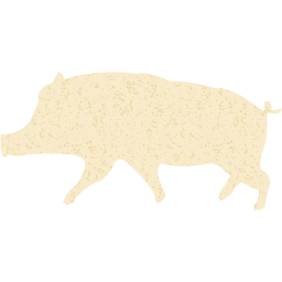 pig 10 icon