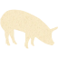 pig 5