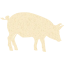 pig 6