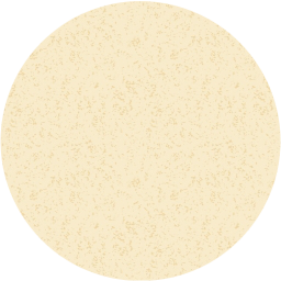 record icon