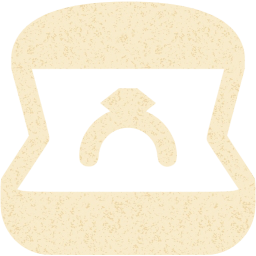 ring icon