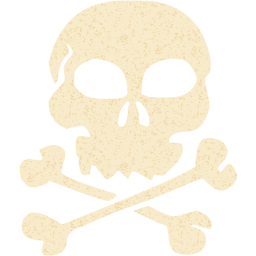 skull 22 icon