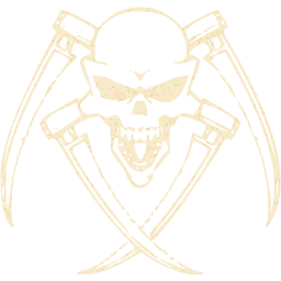 skull 30 icon