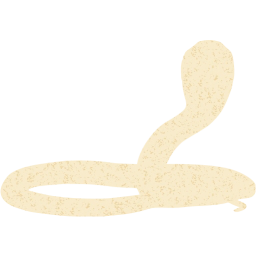 snake 2 icon