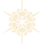 snowflake 11