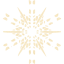 snowflake 19