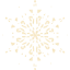 snowflake 24