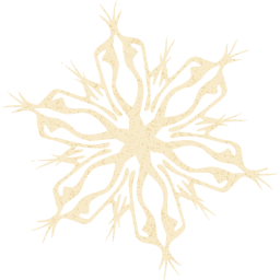 snowflake 4 icon