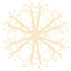 snowflake 49