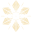 snowflake 5