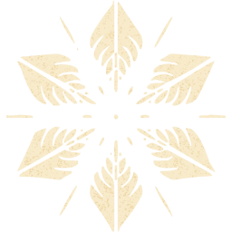 snowflake 5 icon