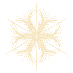 snowflake 53 icon