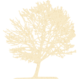 tree 11 icon