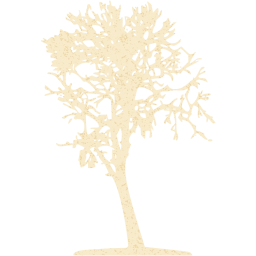 tree 16 icon
