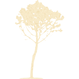 tree 34 icon