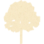 tree 4