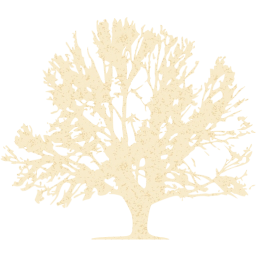tree 41 icon
