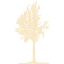 tree 42