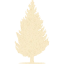 tree 55