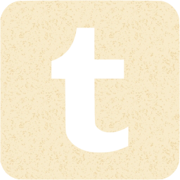 tumblr 3 icon