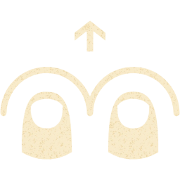two finger swipe up icon