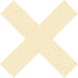 x mark icon