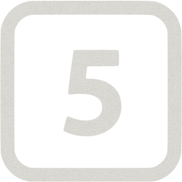 5 icon