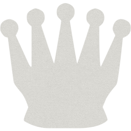 chess 16 icon