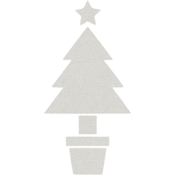 christmas 19 icon