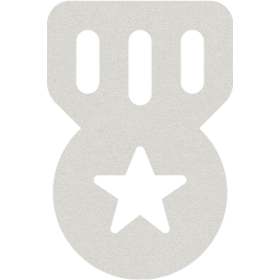 medal 3 icon