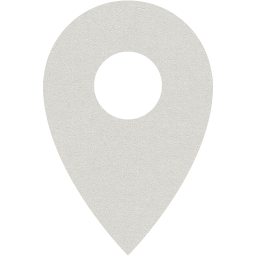 pin 8 icon